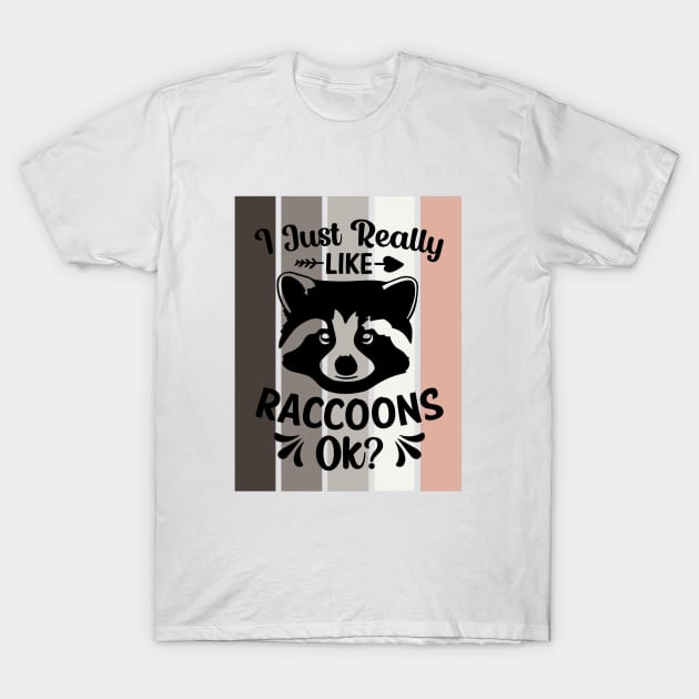 I just really like Raccoons, ok? T-Shirt by Disentangled